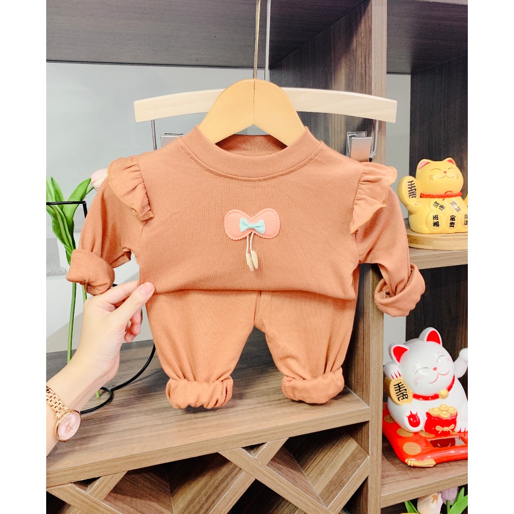 Bộ quần áo dài tay, thu đông, mặc điều hòa, chất thun tăm, len gân, cho bé gái 6-17kg – BD12