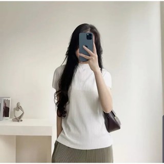  Áo thun xốp gân cổ leo tay hến MYSMIN chất siêu mát  siêu thoải mái TA01 