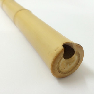 Sáo: Tiêu bát khổng