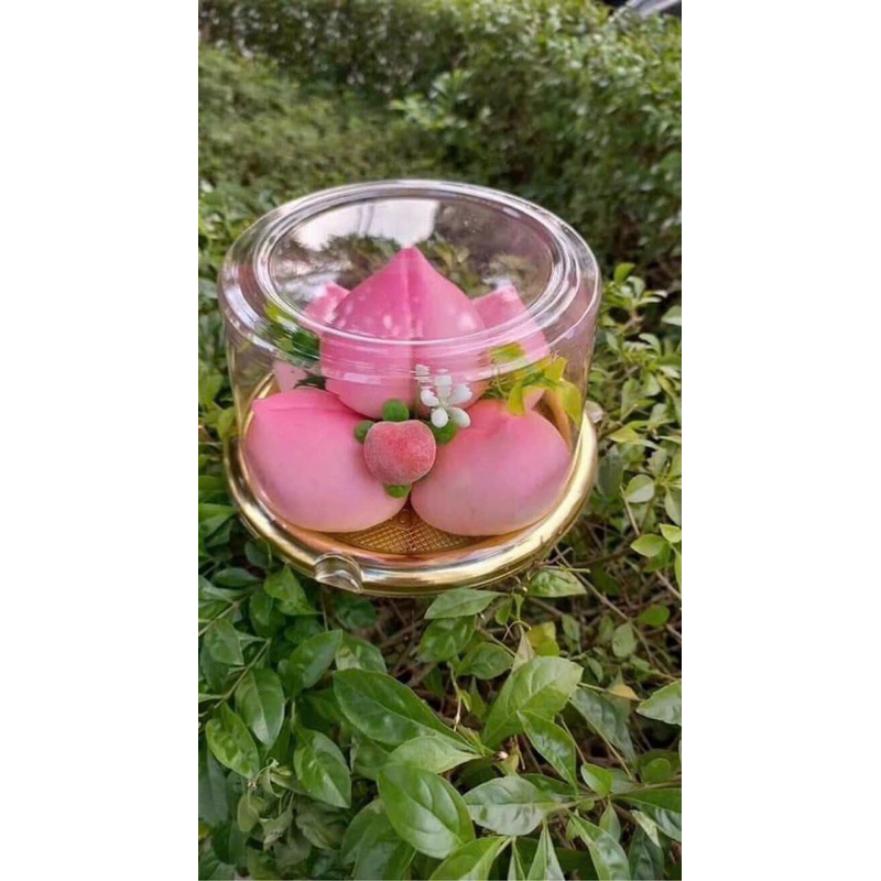 sets 10-20Hộp Nhựa Đựng Bánh Tròn A1680 -A1680GĐựng Bánh Bông Lan, Bánh Bao, Hoa Quả