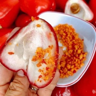 Cây Mận Kiến Sen xưa