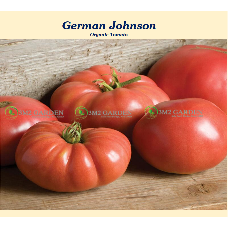 Hạt giống Cà chua múi Đức Gói German Johnson 10 hạt