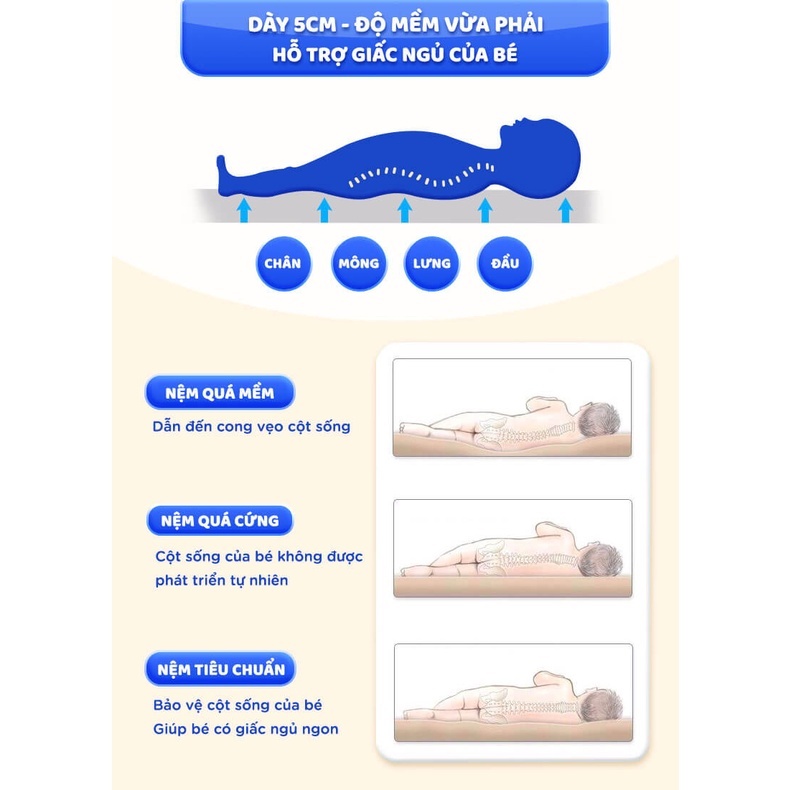Đệm sơ dừa tự nhiên kháng khuẩn cho bé GENMAMA chống vẹo xương, nệm sơ dừa thoáng khí bảo vệ làn da bé