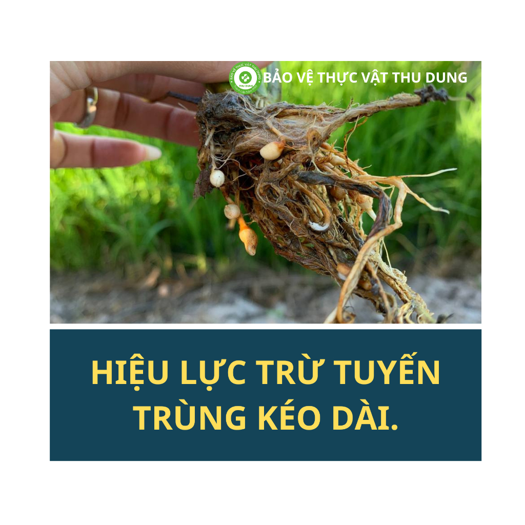 Chế phẩm EM-đại học nông lâm 1 LÍT - Khử sạch 100% mùi hôi chuồng trại: heo, chó, bò, gà - Ủ phân chuồng, phân cá,...