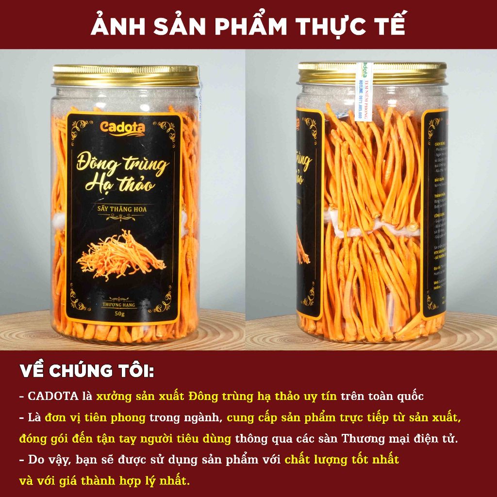 Đông Trùng Hạ Thảo Sấy Khô Hàng loại 1 CADOTA, thơm, vàng đẹp, Hũ 50Gr dùng được 3-4 tháng, tiết kiệm hơn hũ nhỏ