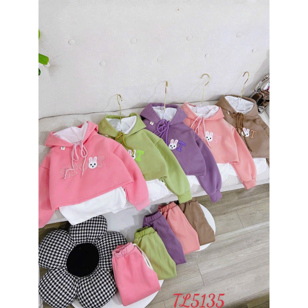 Bộ thu đông 3 chi tiết bé gái- Đồ bộ dài tay cho bé dễ thương chất nỉ 2 da cao cấp dày mịn có mũ