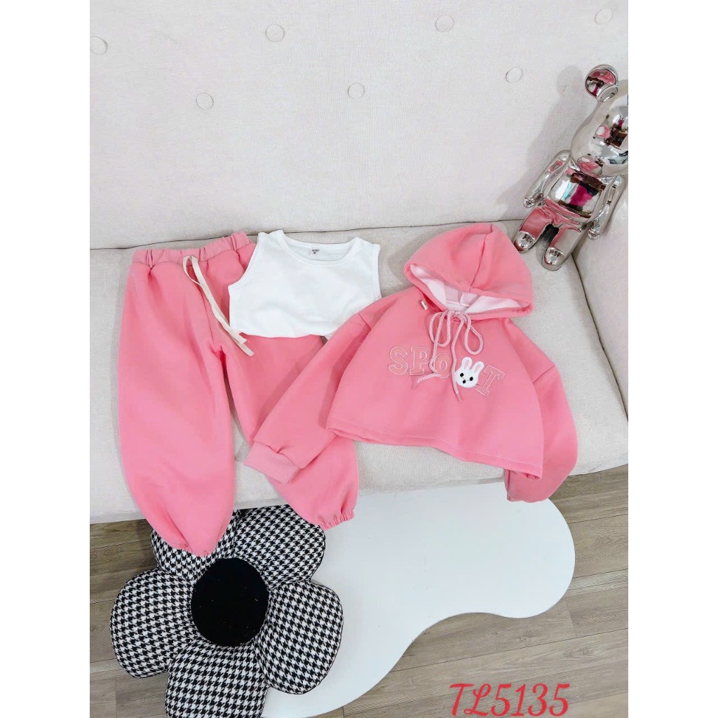 Bộ thu đông 3 chi tiết bé gái- Đồ bộ dài tay cho bé dễ thương chất nỉ 2 da cao cấp dày mịn có mũ