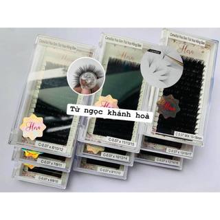 Mi hoa hồng đen, mi hoa sơn trà mix size