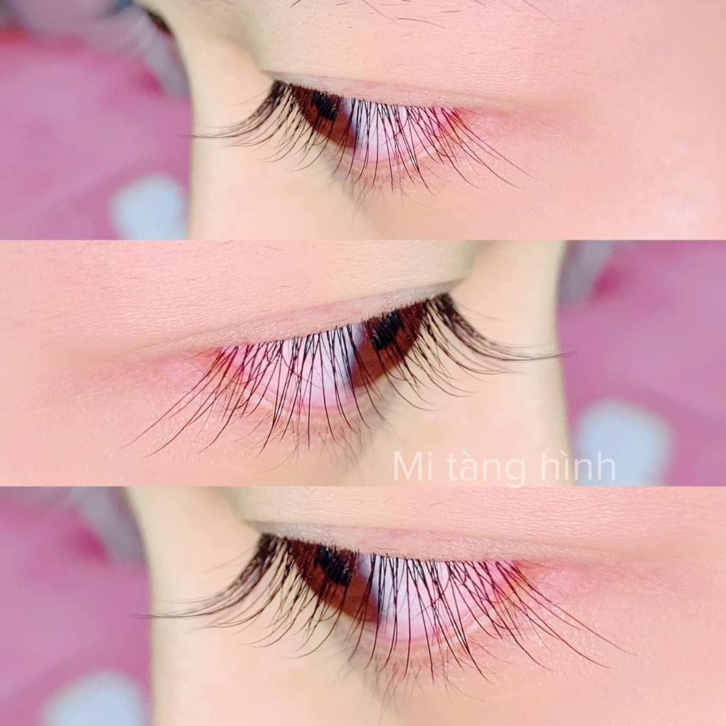 Mi Tàng Hình 24 line