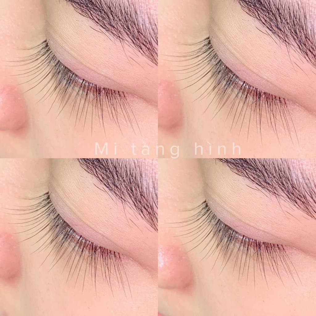 Mi Tàng Hình 24 line