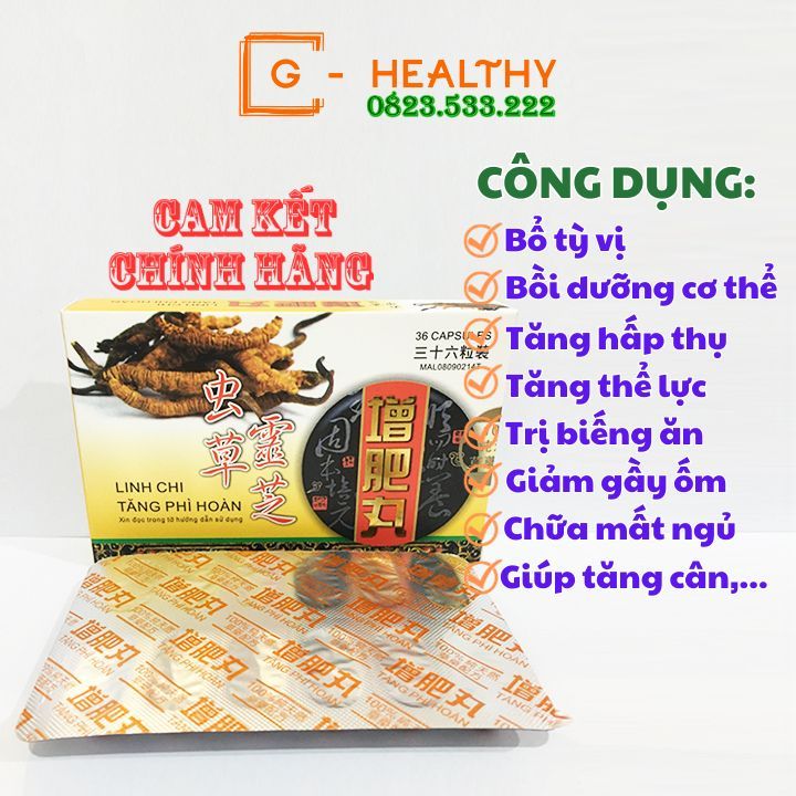 Viên Uống Linh Chi Tăng Phì Hoàn Malaysia 36 Viên/Hộp - Hỗ Trợ Tăng Cân Cho Người Gầy
