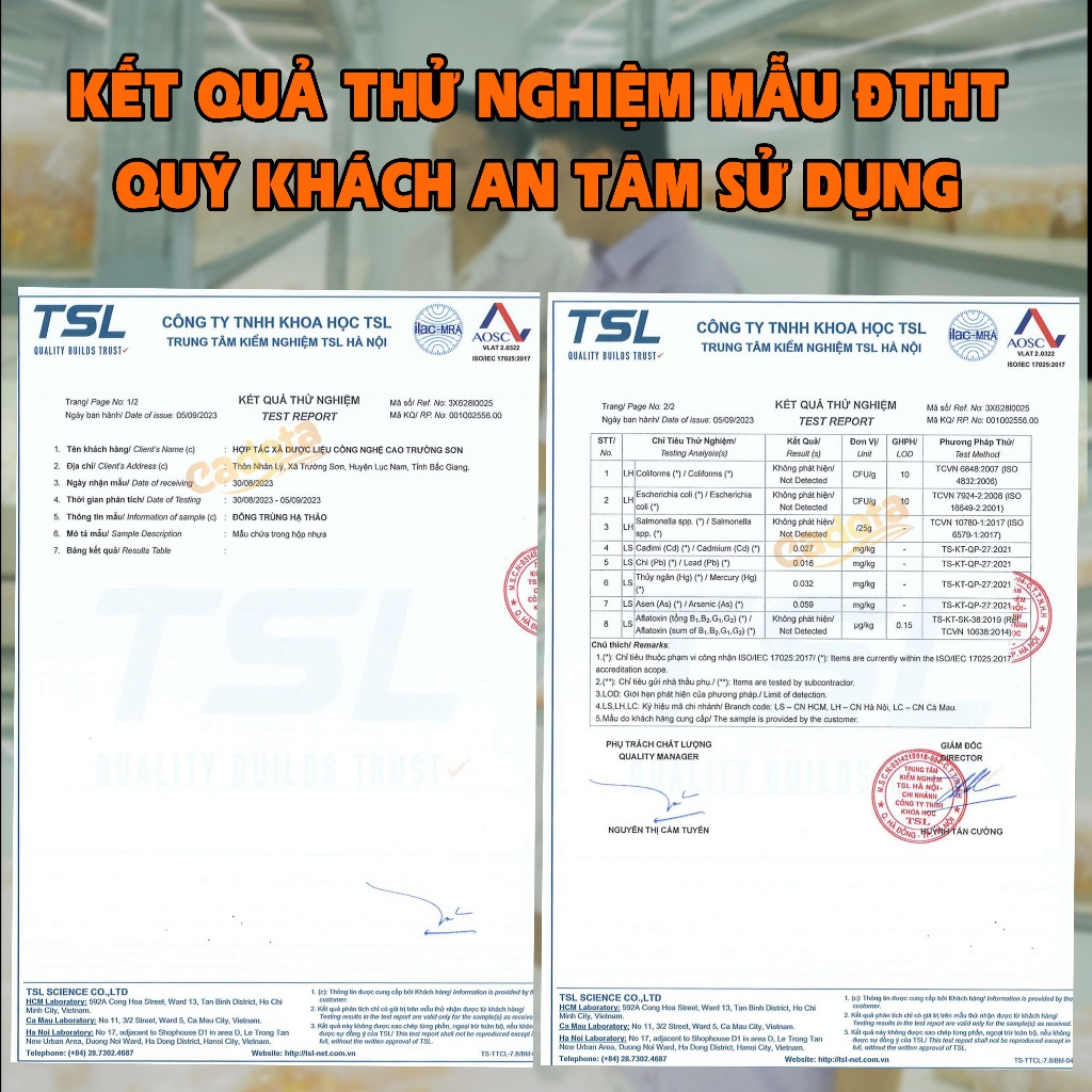 Đông Trùng Hạ Thảo Sấy Khô Hàng loại 1 CADOTA, thơm, vàng đẹp, Hũ 50Gr dùng được 3-4 tháng, tiết kiệm hơn hũ nhỏ