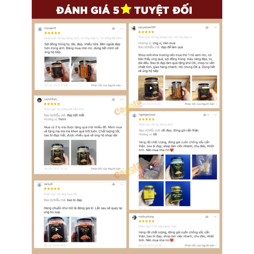 Đông Trùng Hạ Thảo Sấy Khô Hàng loại 1 CADOTA, thơm, vàng đẹp, Hũ 50Gr dùng được 3-4 tháng, tiết kiệm hơn hũ nhỏ