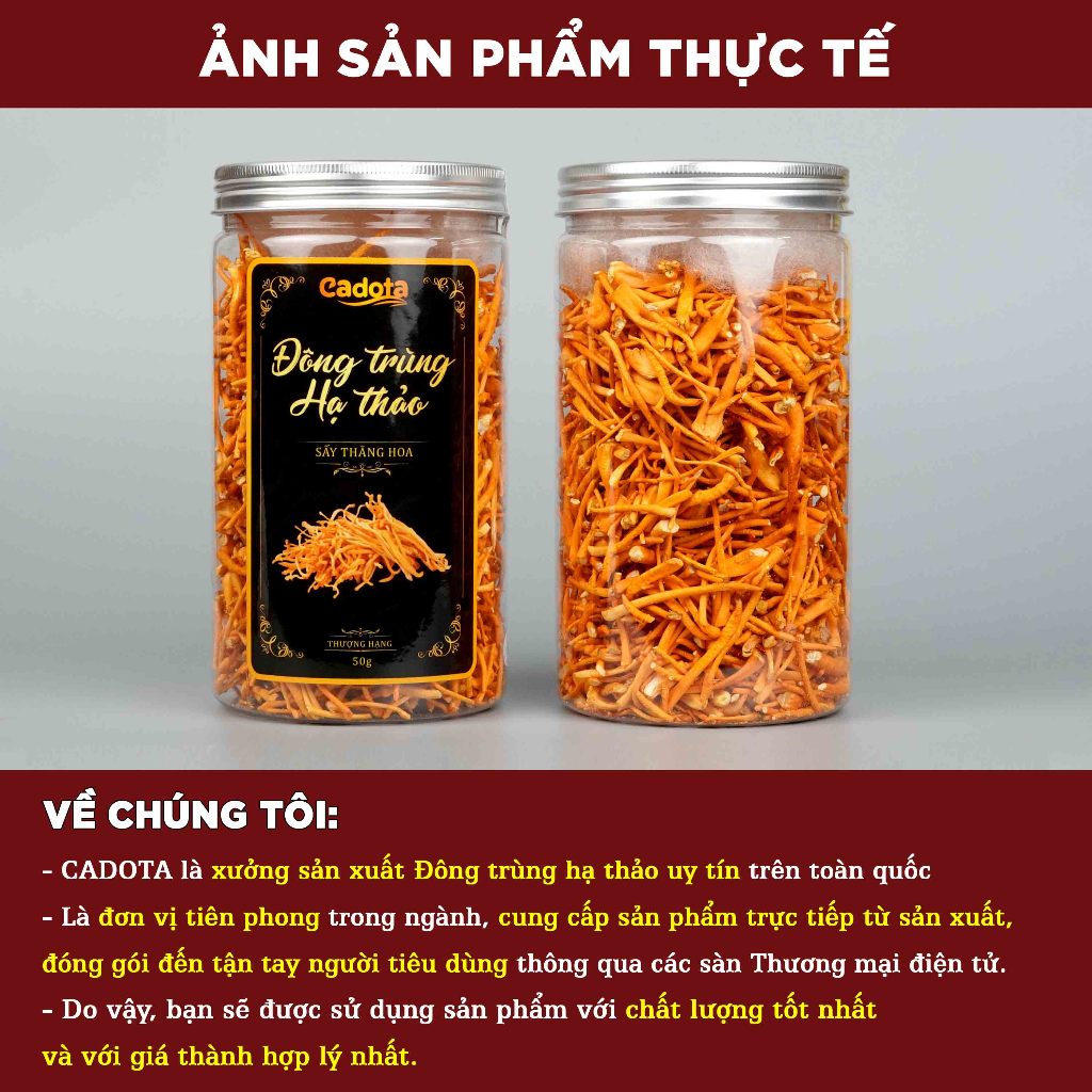 50g Nấm Đông Trùng Hạ Thảo Sấy Khô CADOTA Loại Gãy, Sấy Thăng Hoa Cao Cấp, Sợi Gãy Nên Giá Rẻ, Chất Lượng Không Đổi