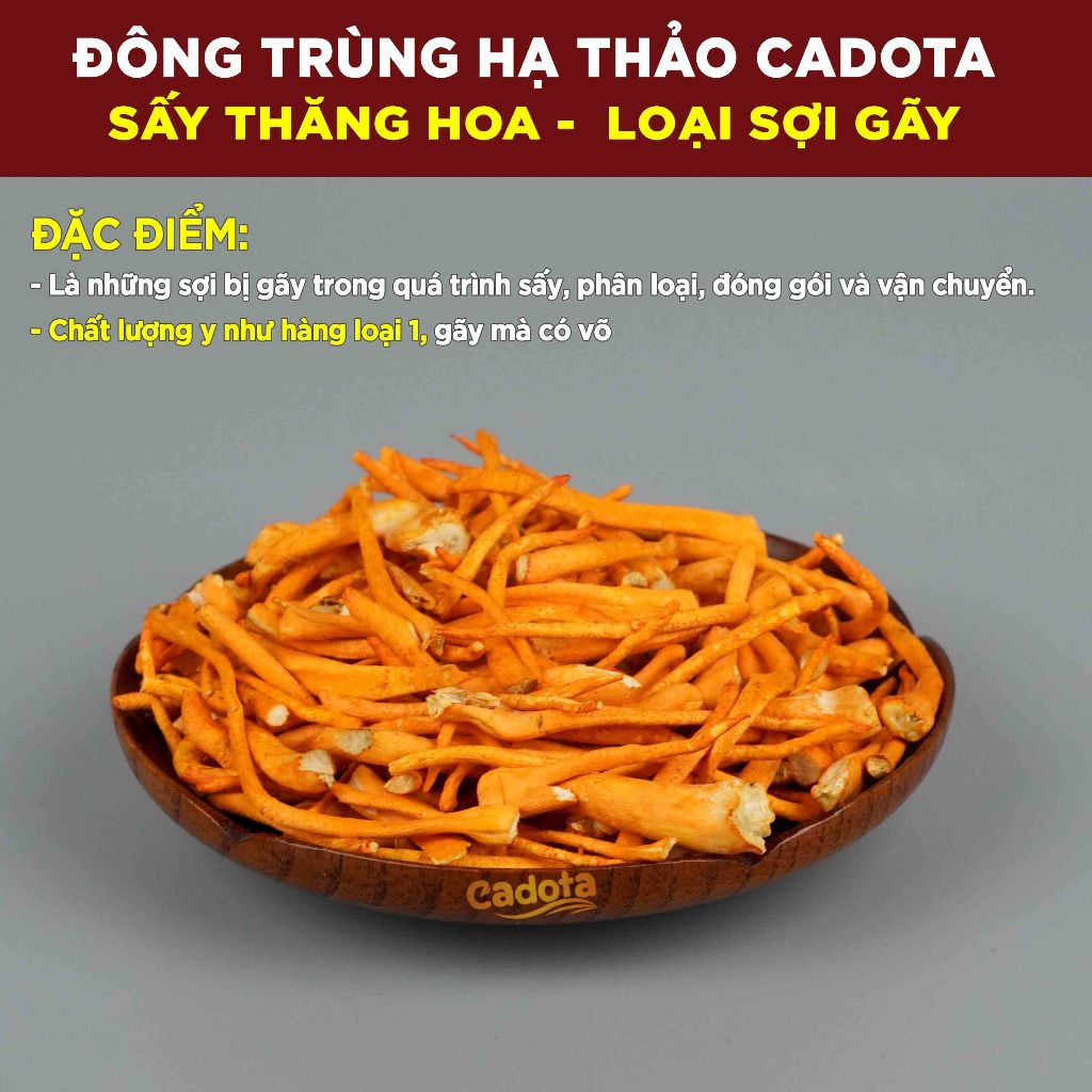 50g Nấm Đông Trùng Hạ Thảo Sấy Khô CADOTA Loại Gãy, Sấy Thăng Hoa Cao Cấp, Sợi Gãy Nên Giá Rẻ, Chất Lượng Không Đổi