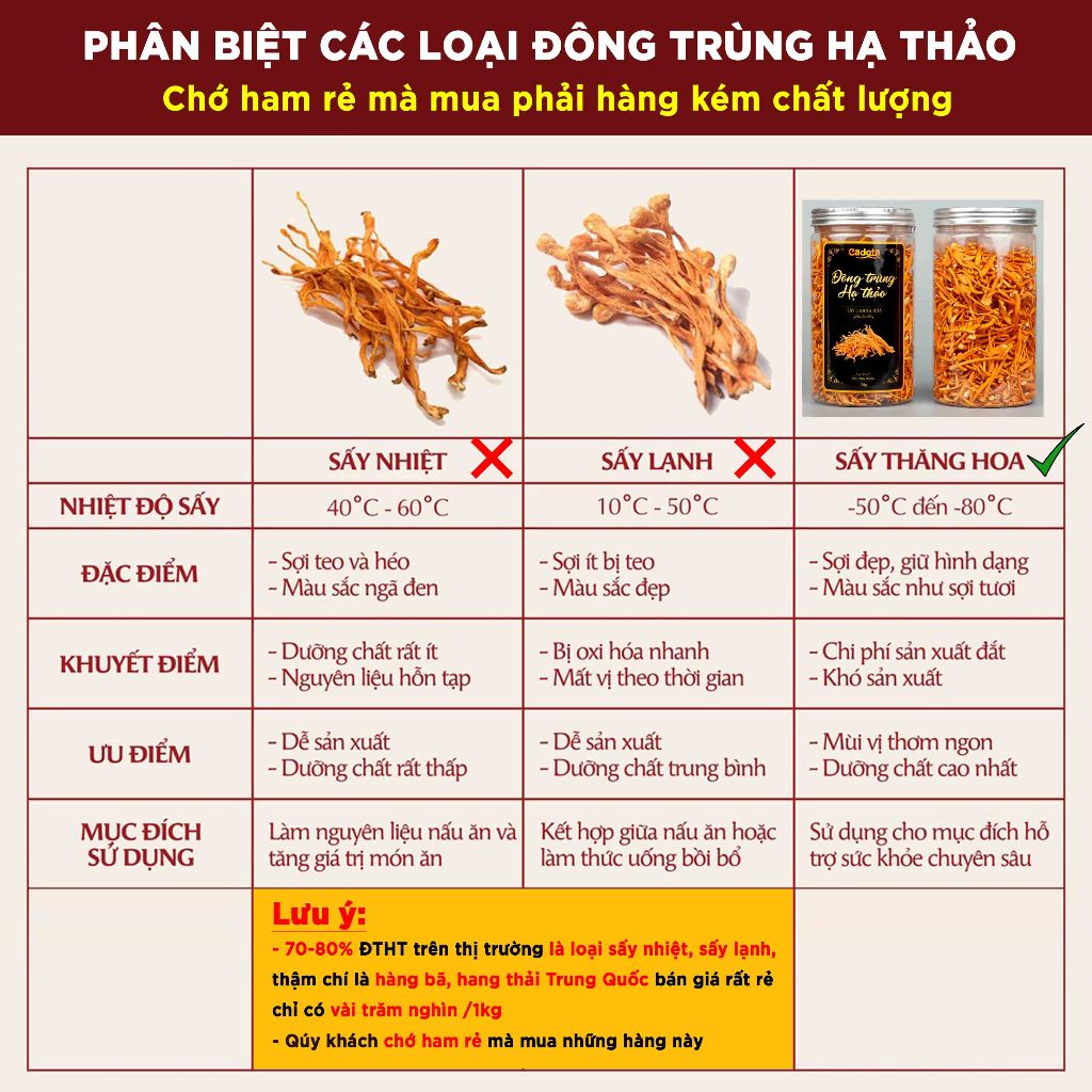 50g Nấm Đông Trùng Hạ Thảo Sấy Khô CADOTA Loại Gãy, Sấy Thăng Hoa Cao Cấp, Sợi Gãy Nên Giá Rẻ, Chất Lượng Không Đổi