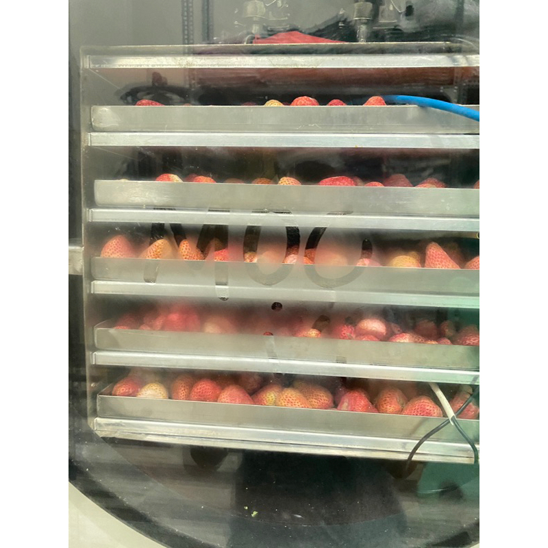 Dây tây sấy thăng hoa nhà làm