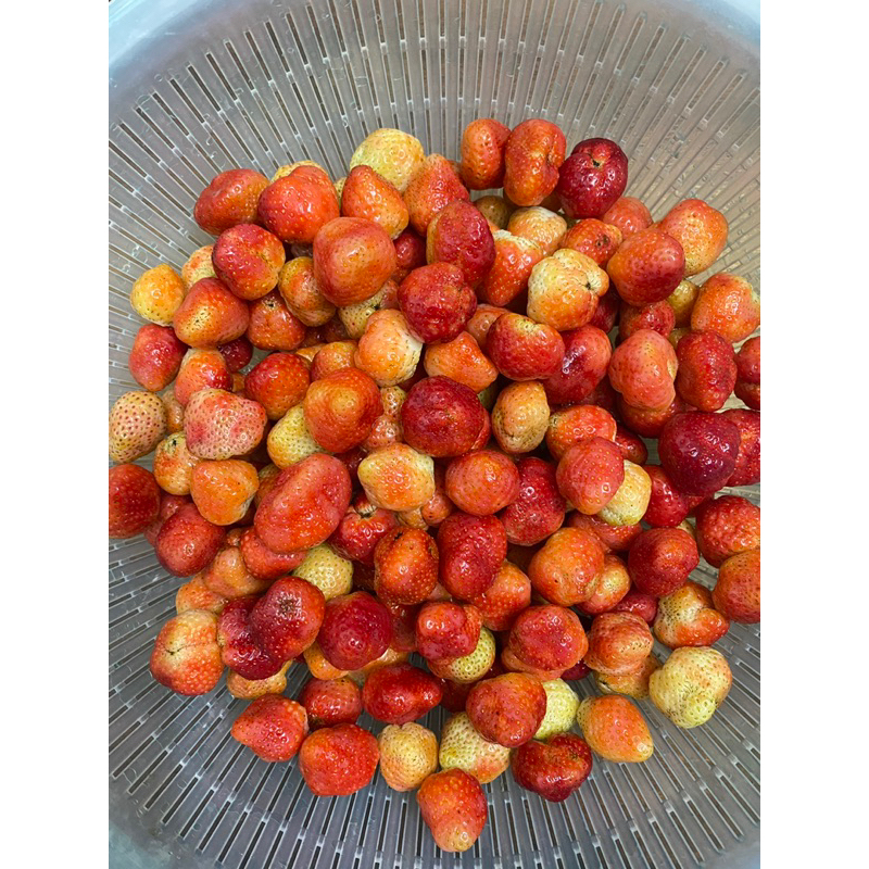 Dây tây sấy thăng hoa nhà làm