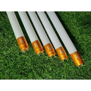 BÓNG TUÝP LED T8 0,6M & 1,2M ( 12W - 32W)