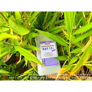 Nước làm mát Liqui Moly RAF12+ ( Đã Pha Sẵn )