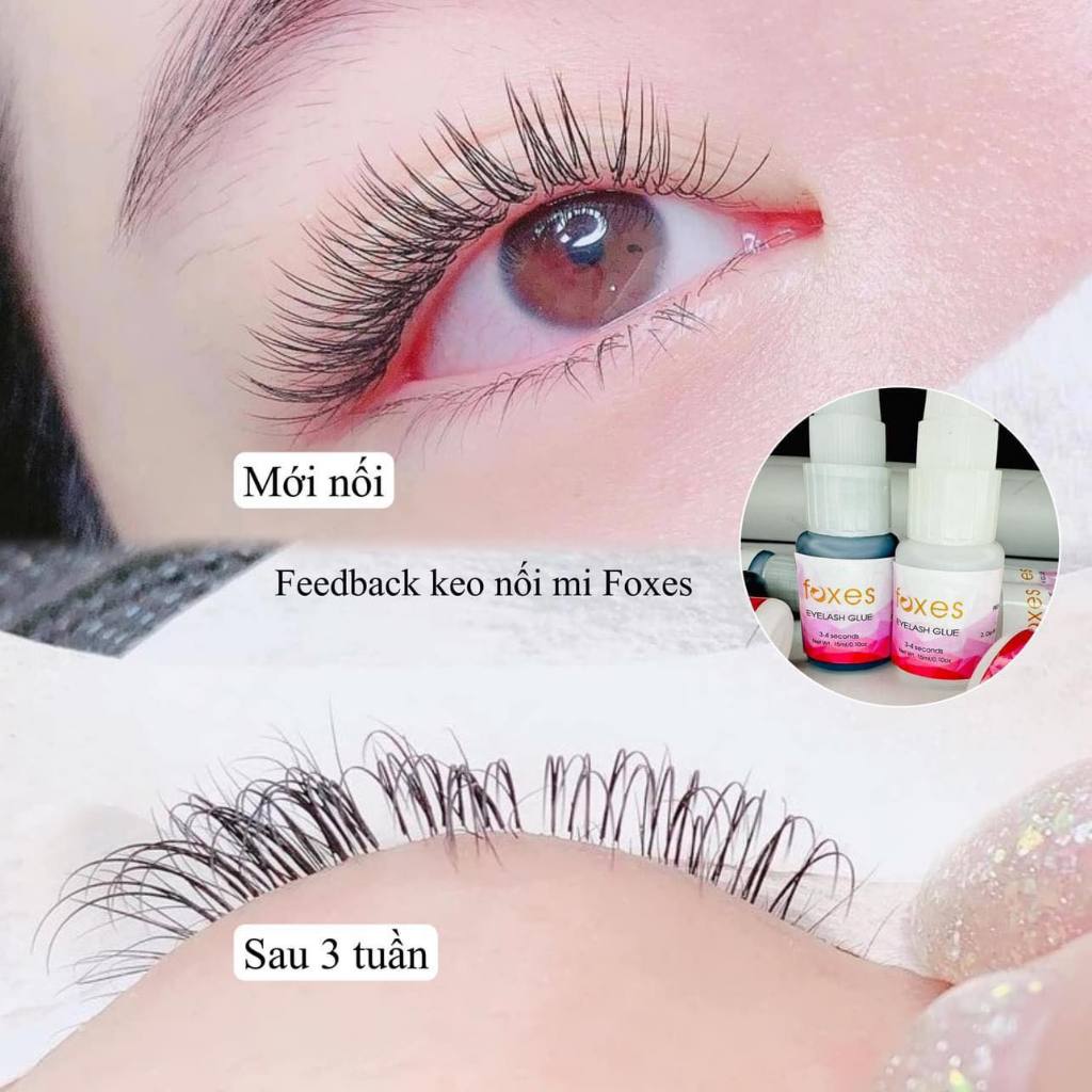 Keo Gel Nối Mi, Keo Trong Và Keo Đen, Keo Foxes
