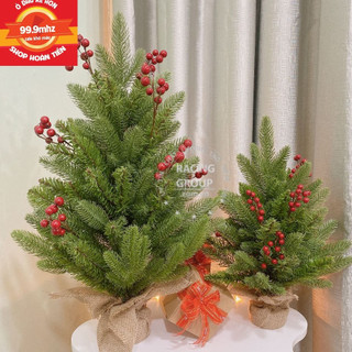 Cây thông pe mini cây thông noel mini để bàn gắn trái đỏ 45-60cm