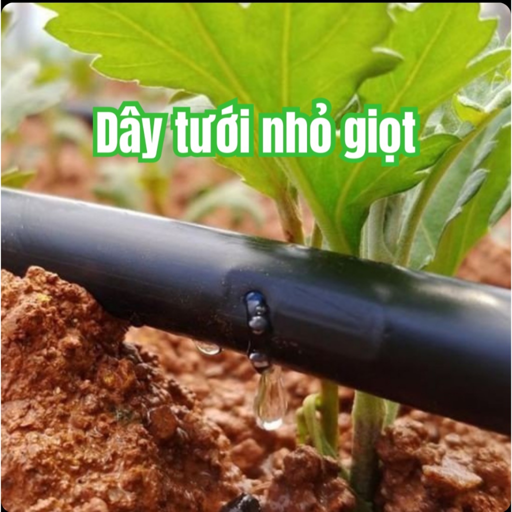 Cuộn 1000m Ống dây tưới nhỏ giọt 16mm khoảng cách lỗ 40 CM .