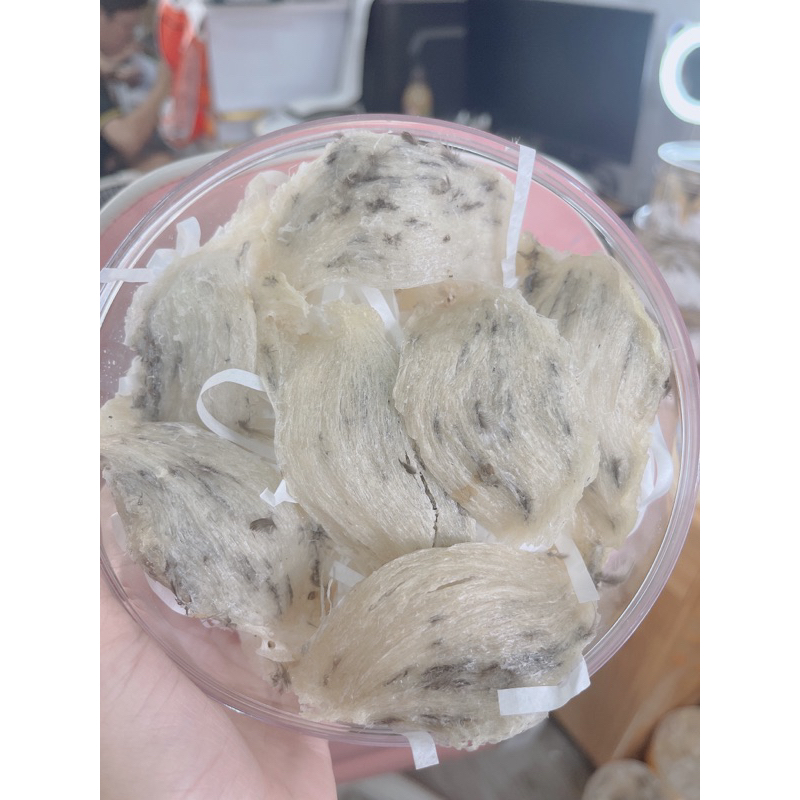 TỔ YẾN THÔ GIÀ NỞ SIÊU NGON + tặng táo, đường, Nhíp