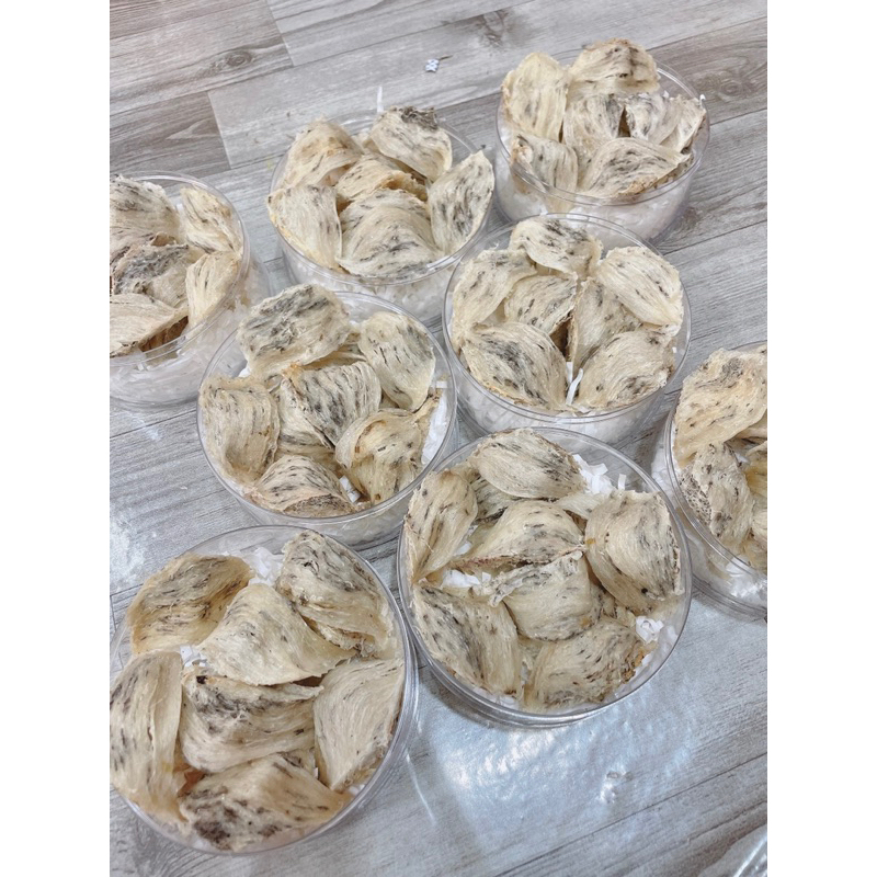 TỔ YẾN THÔ GIÀ NỞ SIÊU NGON + tặng táo, đường, Nhíp