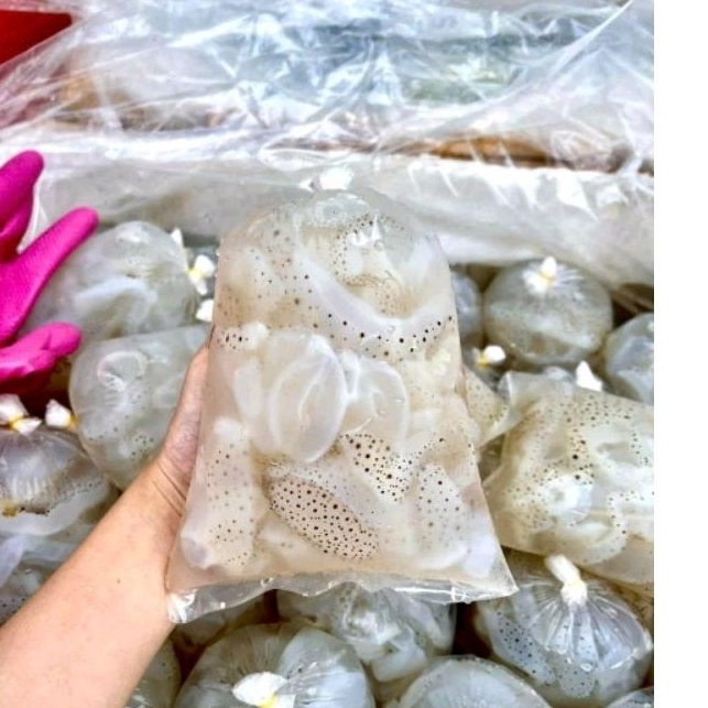 45k 500gr Sứa Biển Tươi Quy Nhơn Không Mặn(giao nhanh TP HCM)