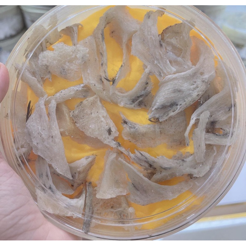 CHÂN YẾN THÔ + tặng táo, đường, nhíp