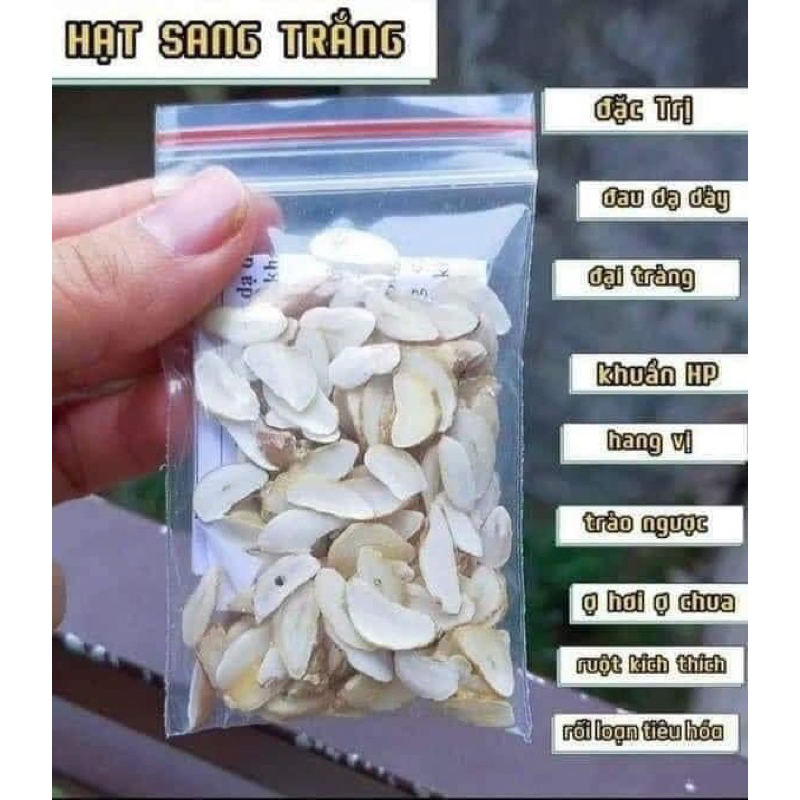 Hạt Sang Rừng giá 9500d/  hạt. hàng đẹp loại 1. hạt trắng  to đẹp