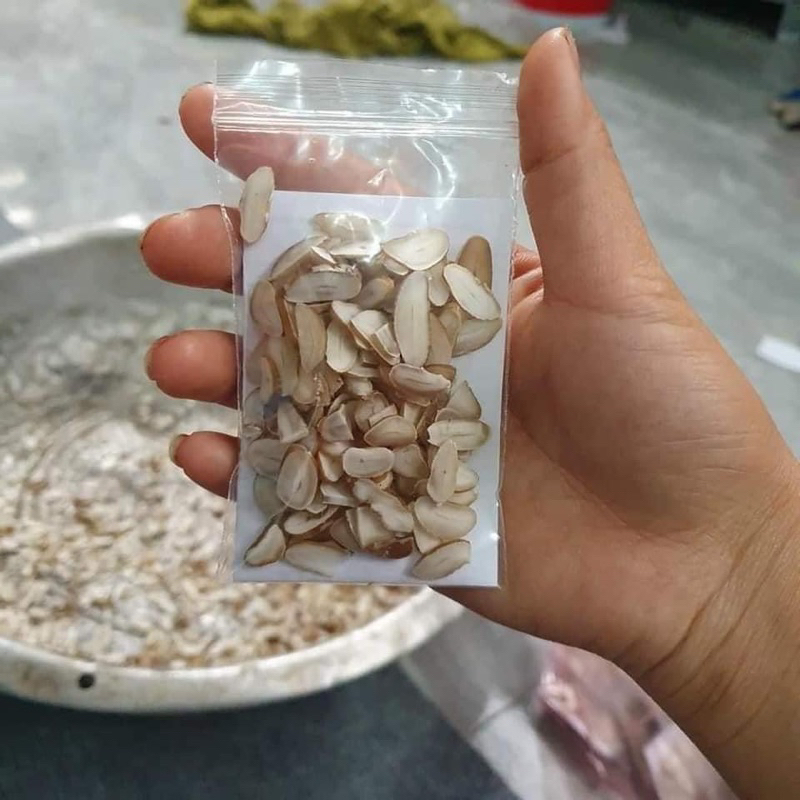 Hạt Sang Rừng giá 9500d/  hạt. hàng đẹp loại 1. hạt trắng  to đẹp