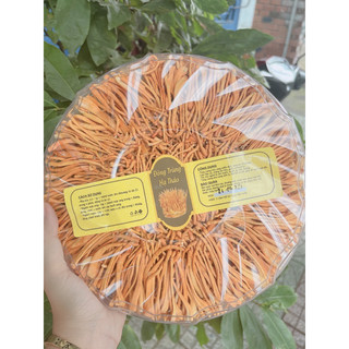 Nấm đông trùng hạ thảo xô