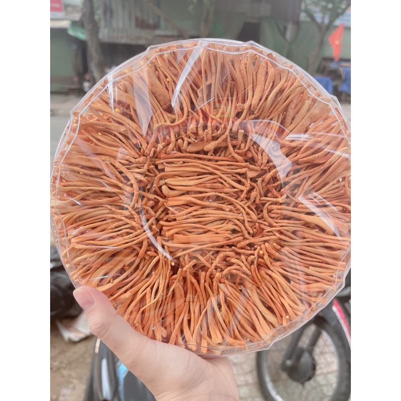 NẤM ĐÔNG TRÙNG HẠ THẢO xô