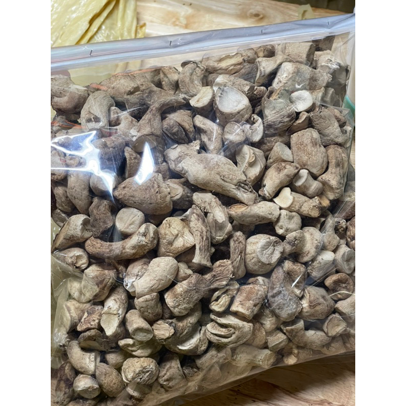 Chân nấm thiên nhiên