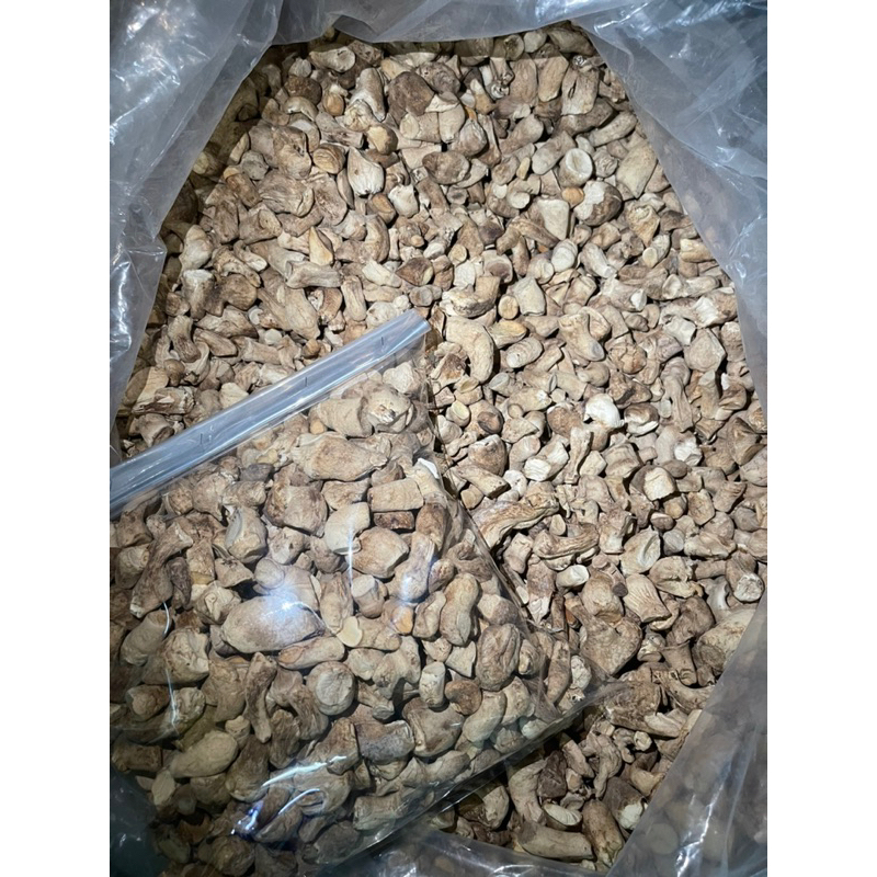 Chân nấm thiên nhiên