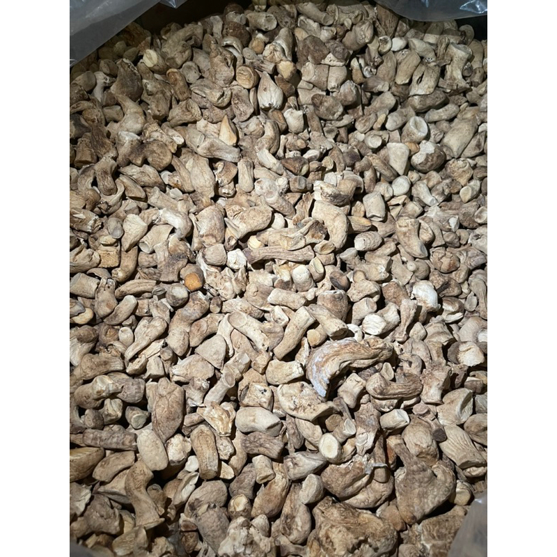 Chân nấm thiên nhiên