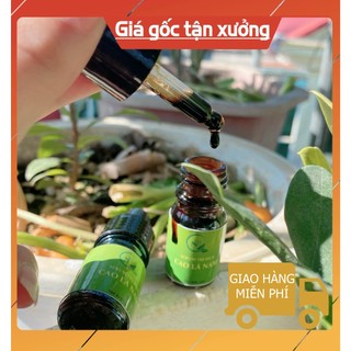 Cao lá nam loại bỏ mụn mix thêm hương liệu và lá rừng tây bắc