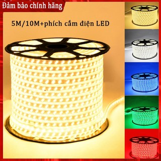Dây đèn LED trang trí, dây LED quấn cây, trang trí trần phòng khách phòng ngủ 5730 hai hàng