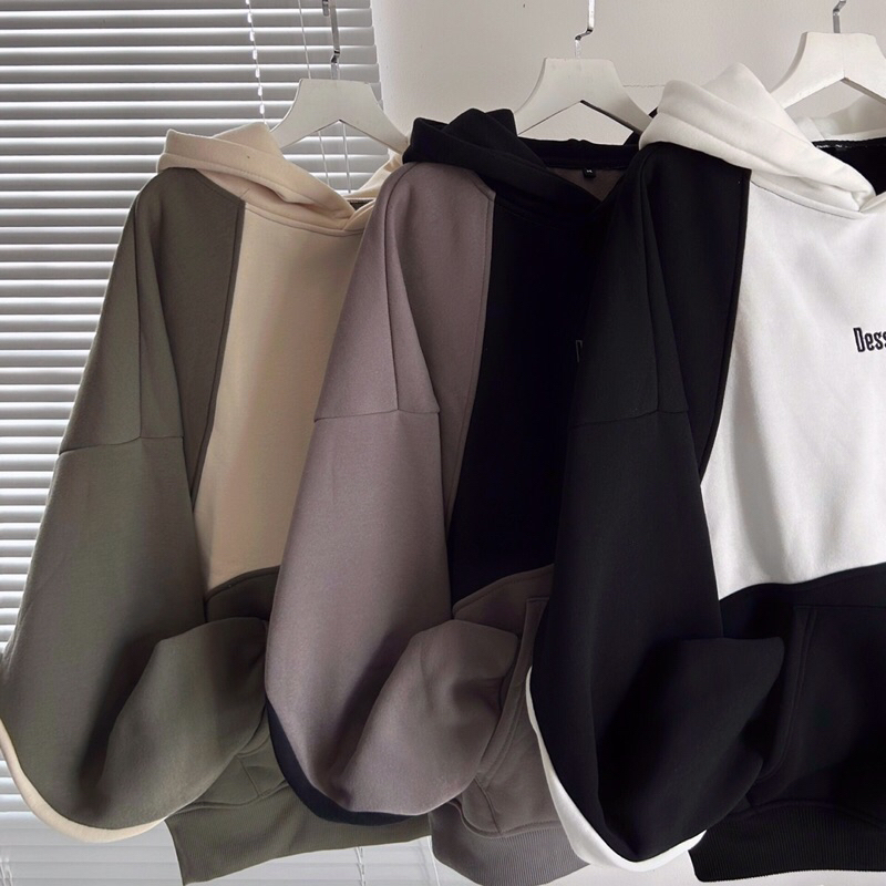 Áo hoodie nỉ Dessu form boxy _HT.Store96