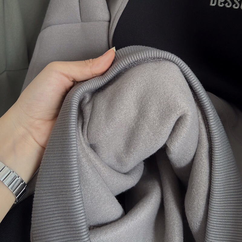 Áo hoodie nỉ Dessu form boxy _HT.Store96