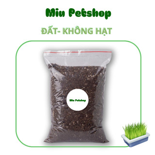 Hạt giống cỏ Mèo tươi - Cỏ lúa mạch cho Mèo