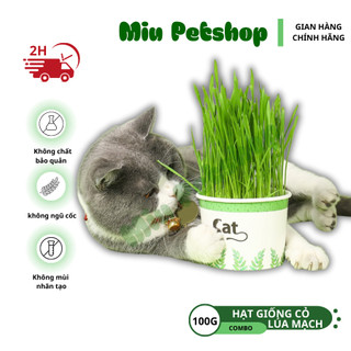 Hạt giống cỏ Mèo tươi - Cỏ lúa mạch cho Mèo