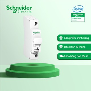 Cầu chì cách ly A9N15636 Schneider