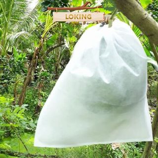 Túi Bọc Trái Cây, Bưởi, Cam, Mít, Xoài, Ổi, Tránh Côn Trùng 100 túi/sp