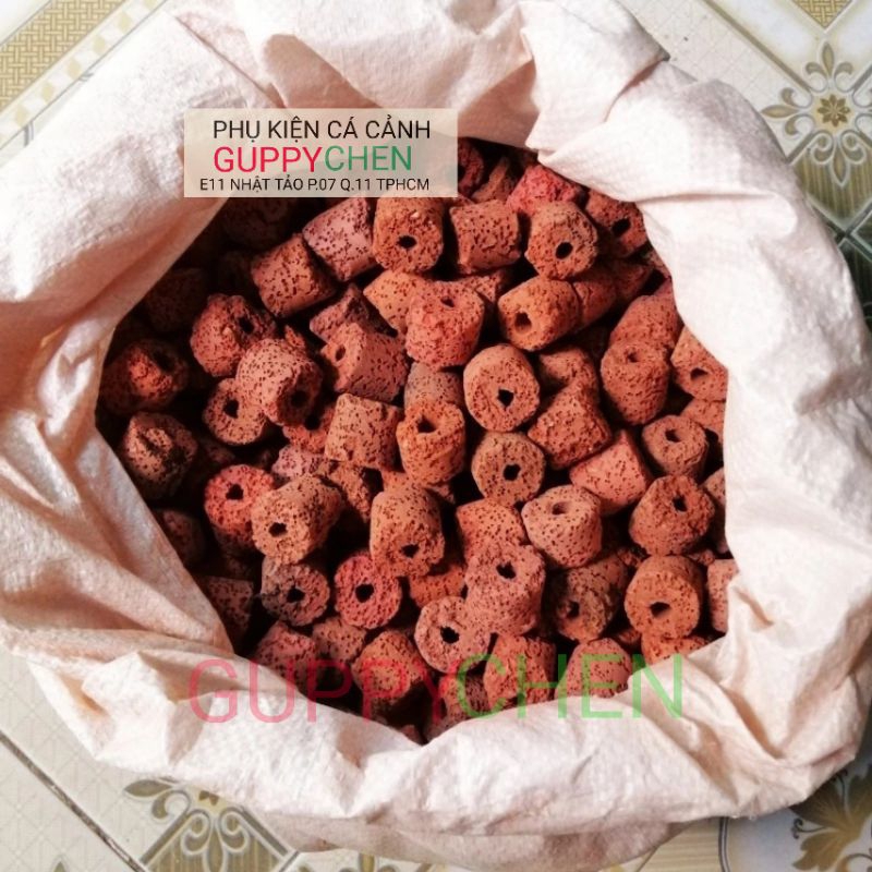 Sứ viên đỏ cho hồ cá thủy sinh