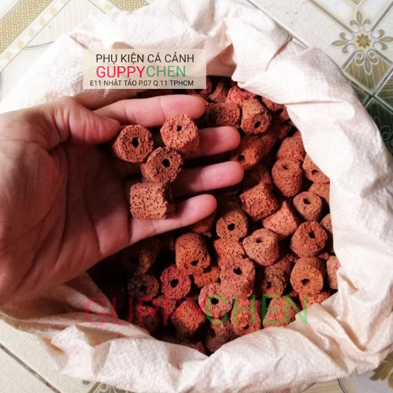 Sứ viên đỏ cho hồ cá thủy sinh