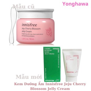 Kem Dưỡng Ẩm Innisfree Jeju Cherry Blossom Cream Jelly Cream 50ml