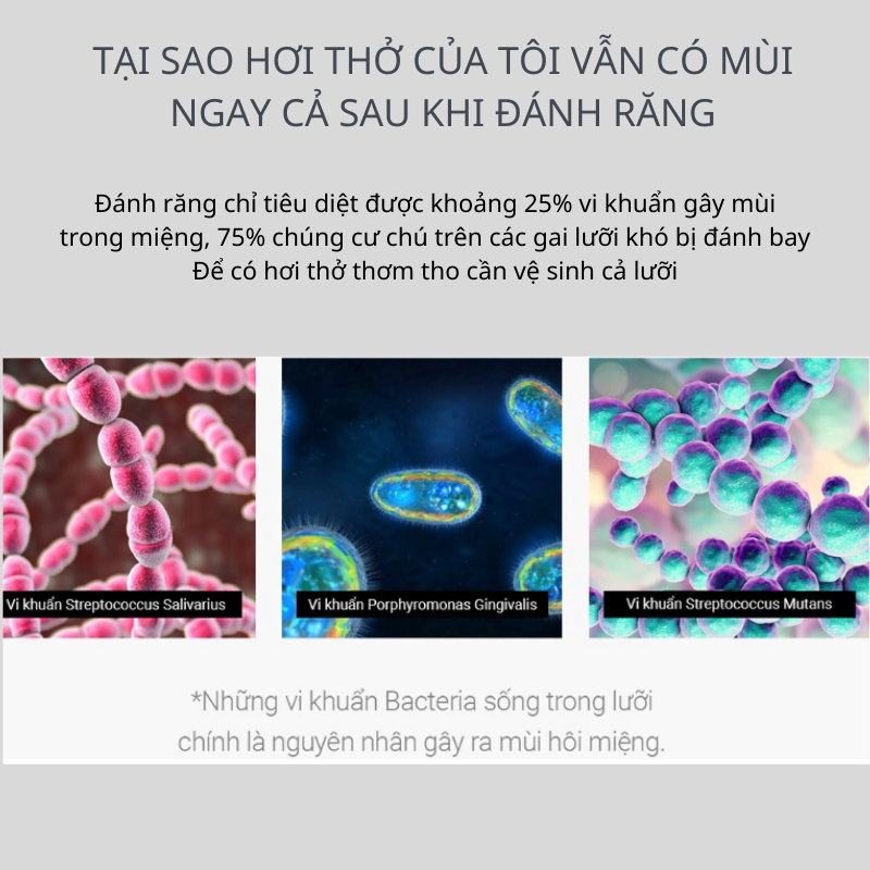 Bàn chải lưỡi Nhật Bản mềm mại không kích ứng Raoyi Ruhn phiên bản Couple Pro R374